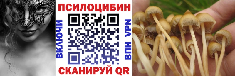 Псилоцибиновые грибы Psilocybine cubensis  Кизляр 